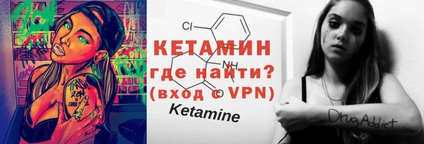 крисы Бородино