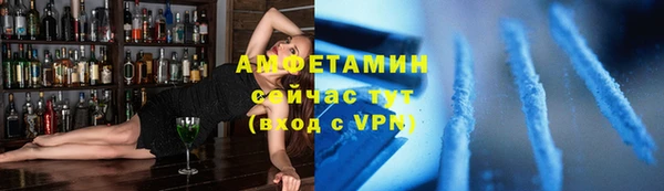 крисы Бородино