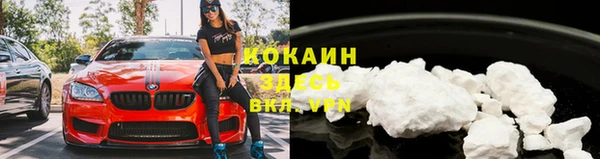 крисы Бородино