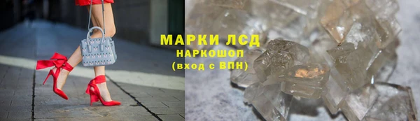 крисы Бородино