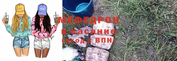 крисы Бородино