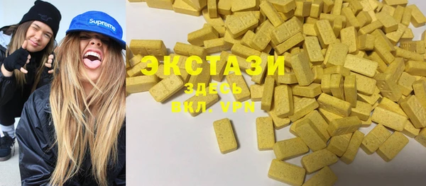 крисы Бородино