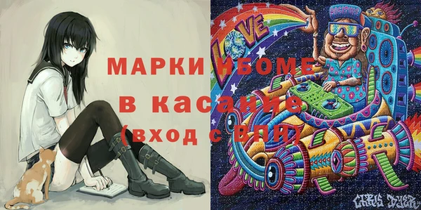 крисы Бородино