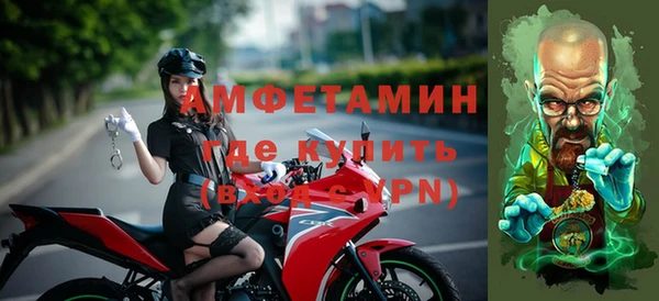 крисы Бородино