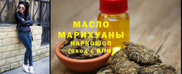 крисы Бородино