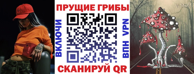 Галлюциногенные грибы Psilocybe  Ковылкино 